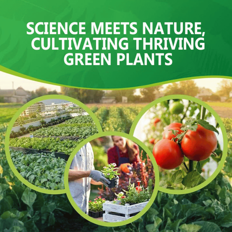 GardenGenie™ -Slow Release Fertilizer Sticks For Plants