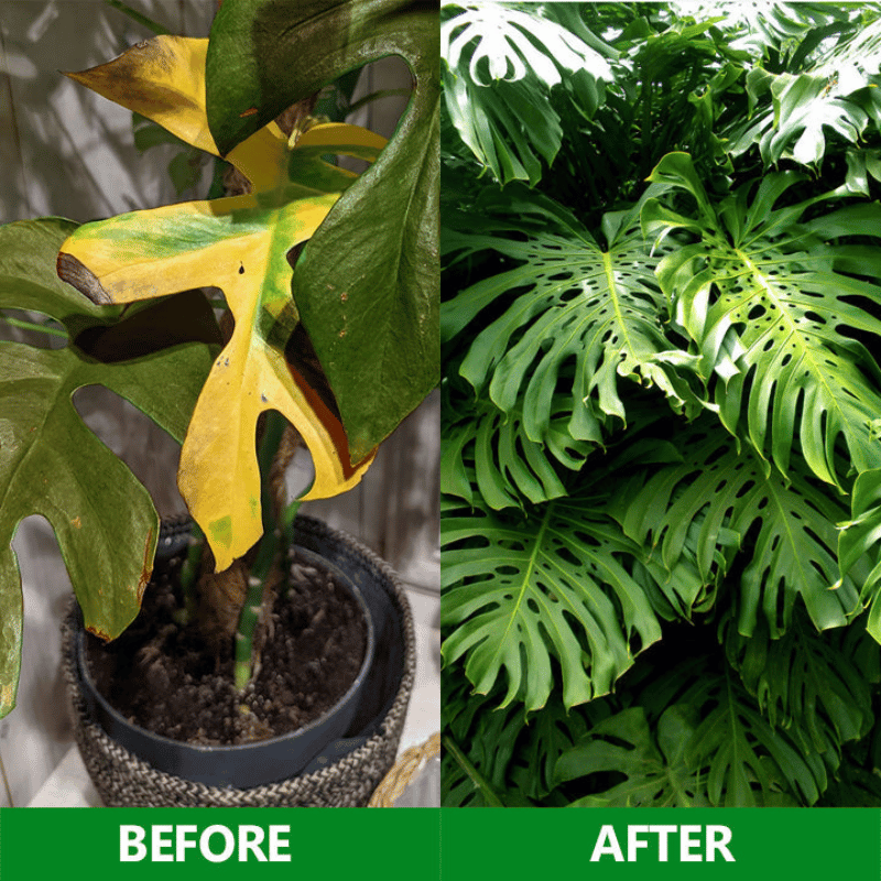 GardenGenie™ -Slow Release Fertilizer Sticks For Plants