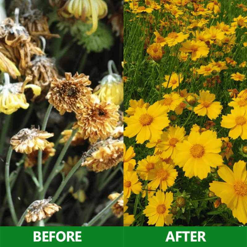 GardenGenie™ -Slow Release Fertilizer Sticks For Plants