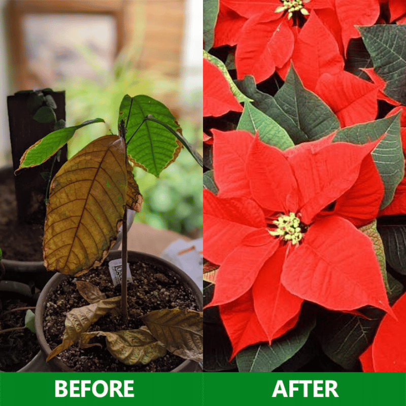 GardenGenie™ -Slow Release Fertilizer Sticks For Plants