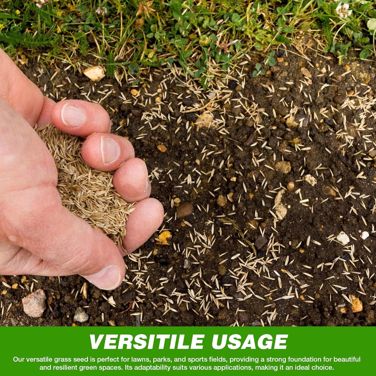 🌱 Japanese Velvet Grass Seed | Year-Round Greenery for Your Dream Lawn