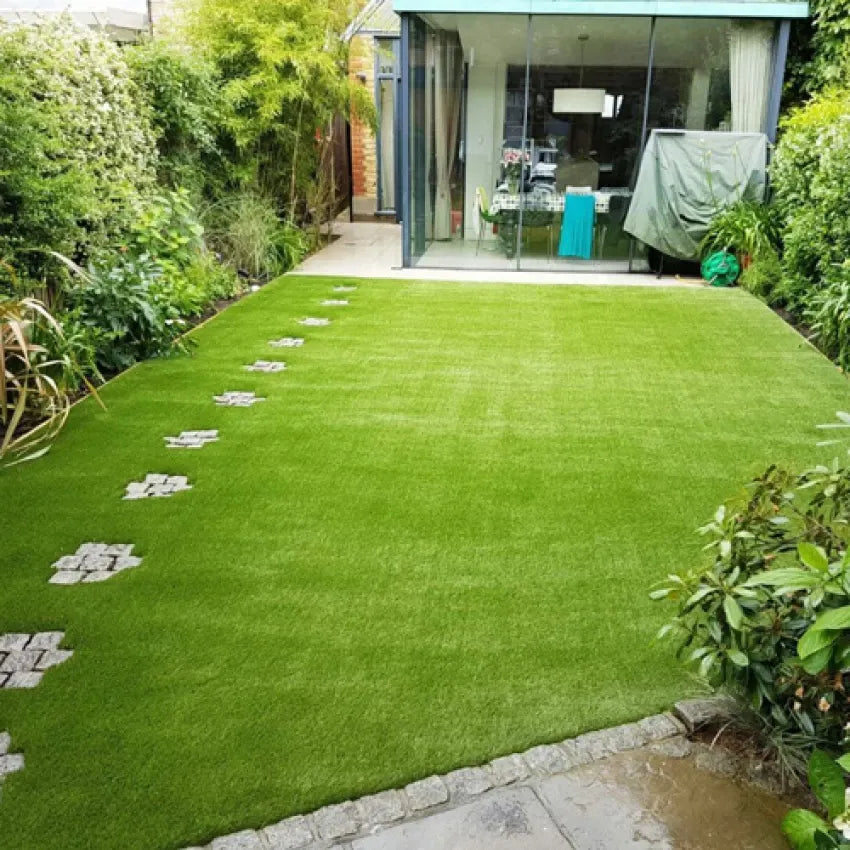 🌱 Japanese Velvet Grass Seed | Year-Round Greenery for Your Dream Lawn