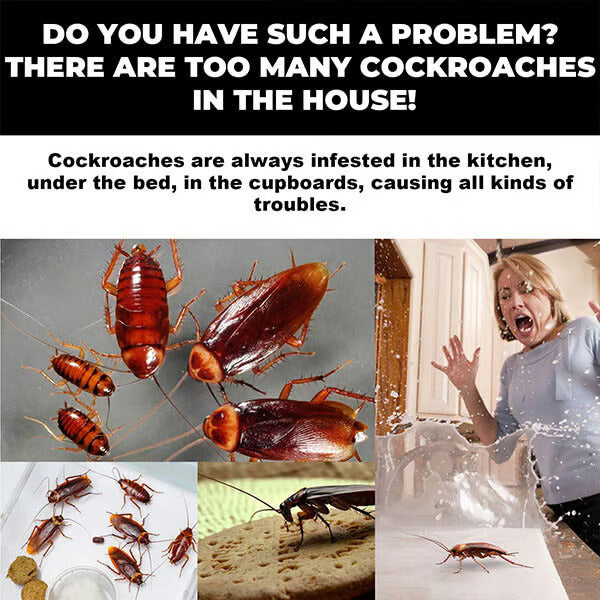 🔥Roach Ace Bait Station