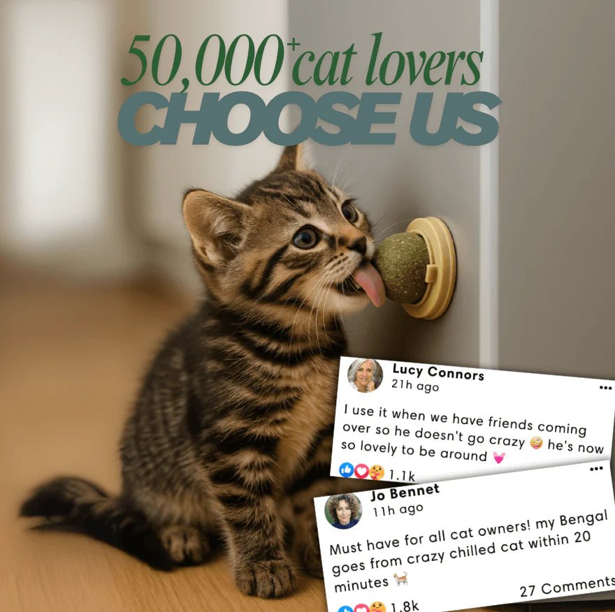 Catnip therapy ball (Buy one Get one)