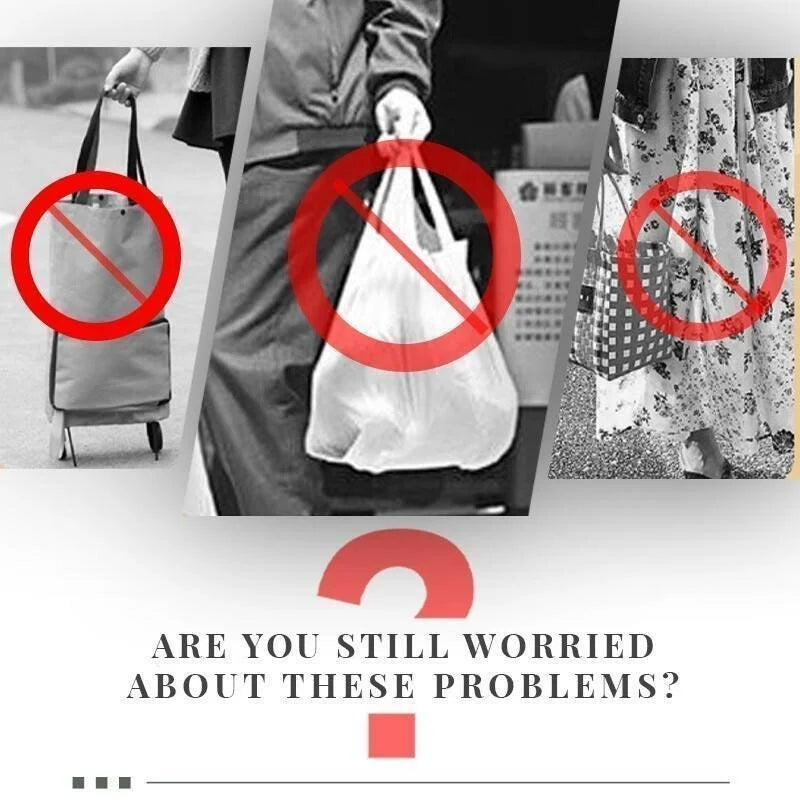Japanese Foldable Shopping Bag