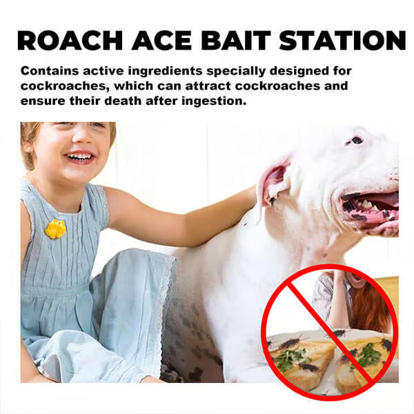🔥Roach Ace Bait Station