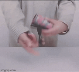 Japanese Foldable Shopping Bag