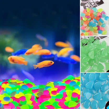 🔥🔥Glow In The Dark Rocks