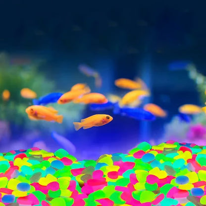 🔥🔥Glow In The Dark Rocks