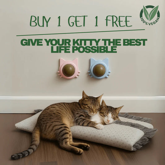 Catnip therapy ball (Buy one Get one)