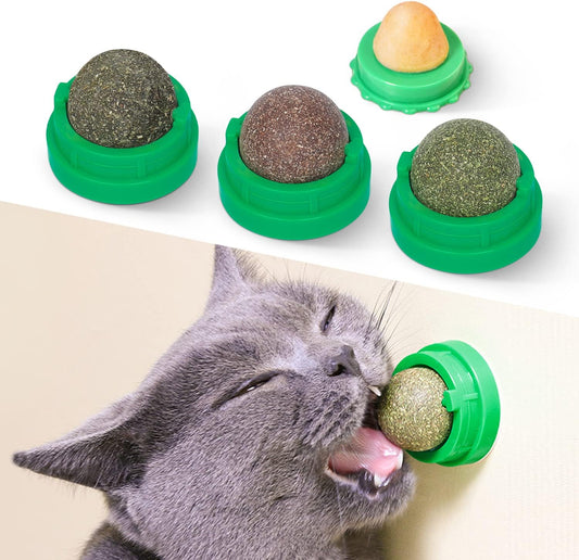 CATNIP WALL BALL