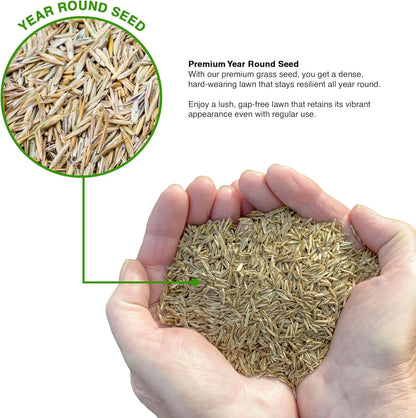 🌱 Japanese Velvet Grass Seed | Year-Round Greenery for Your Dream Lawn