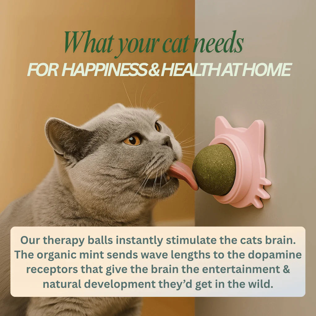 Catnip therapy ball (Buy one Get one)