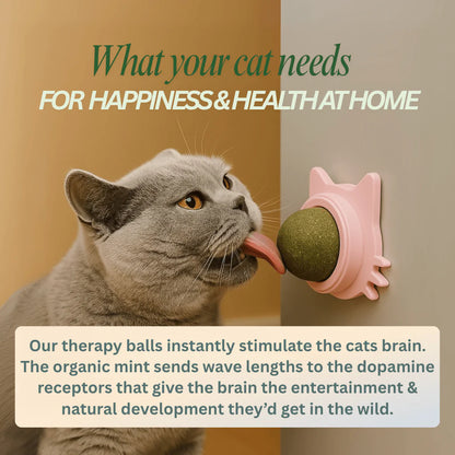 Catnip therapy ball (Buy one Get one)