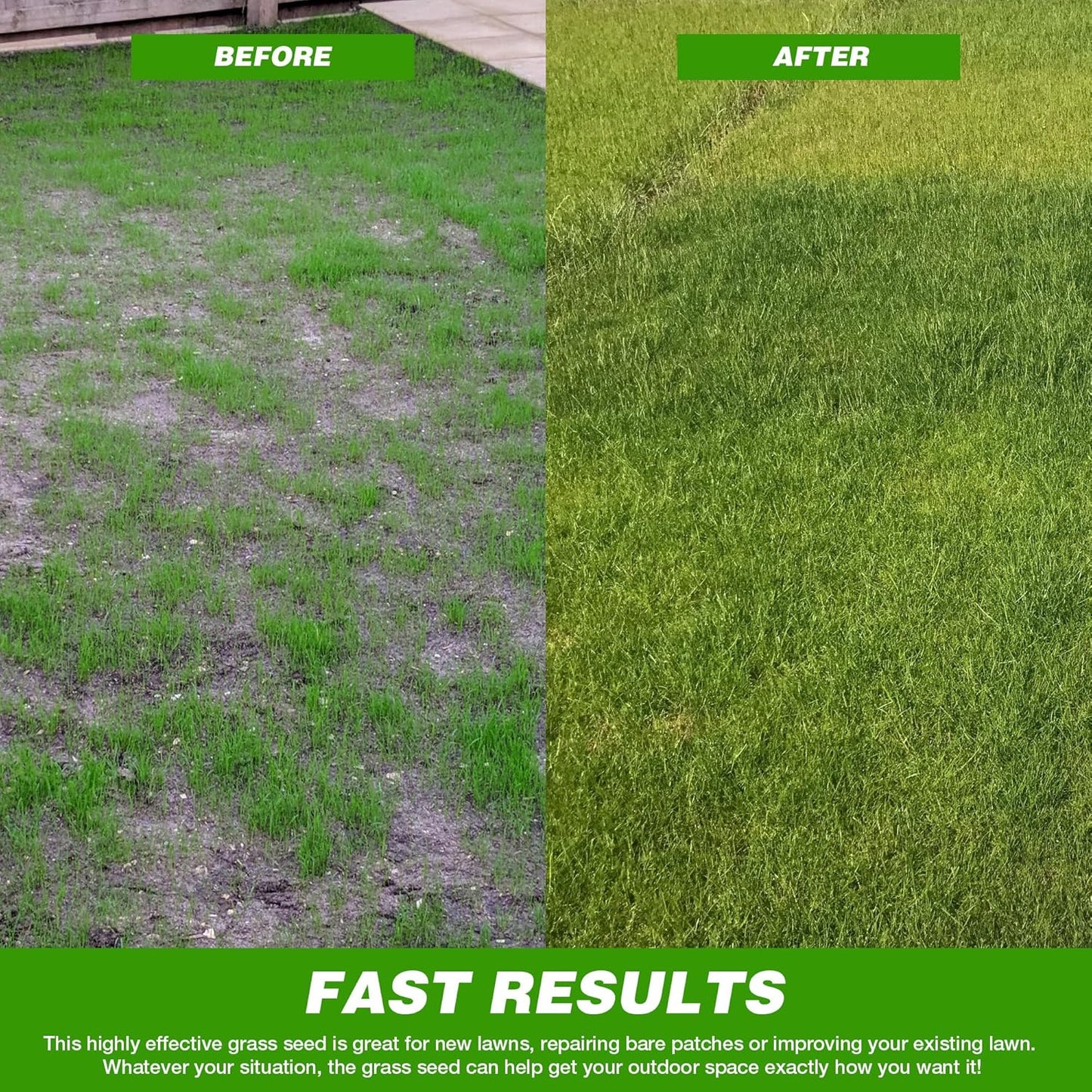 🌱 Japanese Velvet Grass Seed | Year-Round Greenery for Your Dream Lawn