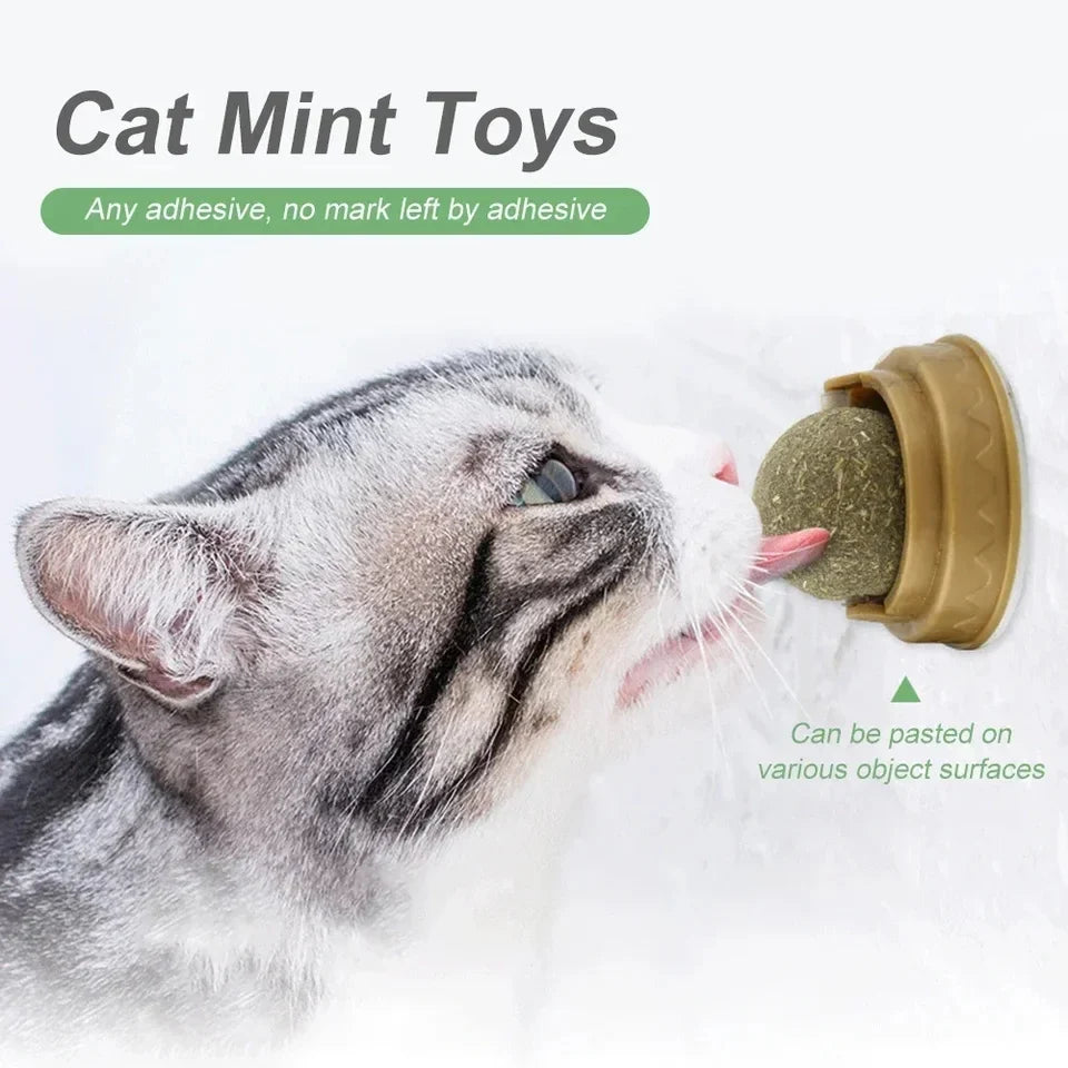 Ultimate Catnip Licking Ball for Cats to Relax