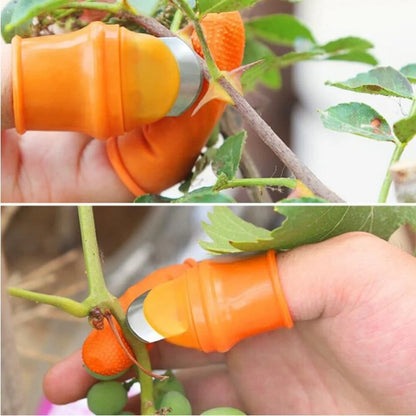 Premium Thumb Knife