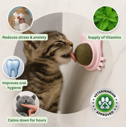 Catnip therapy ball (Buy one Get one)