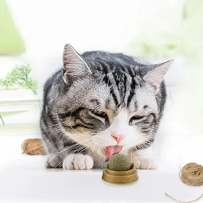 Ultimate Catnip Licking Ball for Cats to Relax