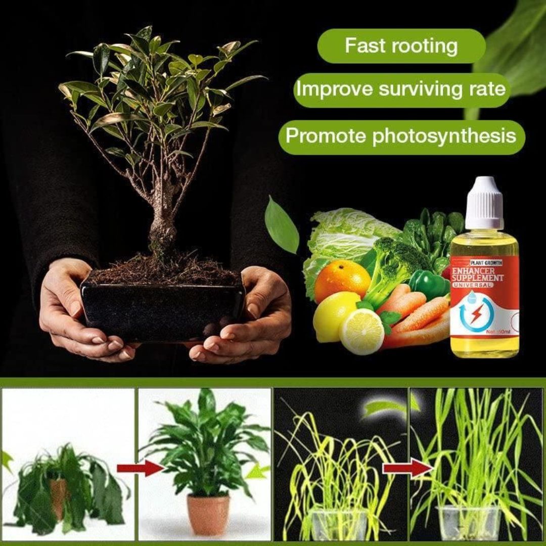 New Plant Growth Enhancer Supplement, Plant Grow Enhancer Supplement, Promotes Rooting, Rescue The Disease Seedlings