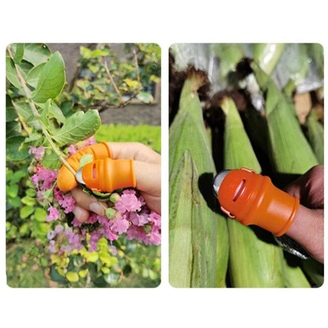 Premium Thumb Knife