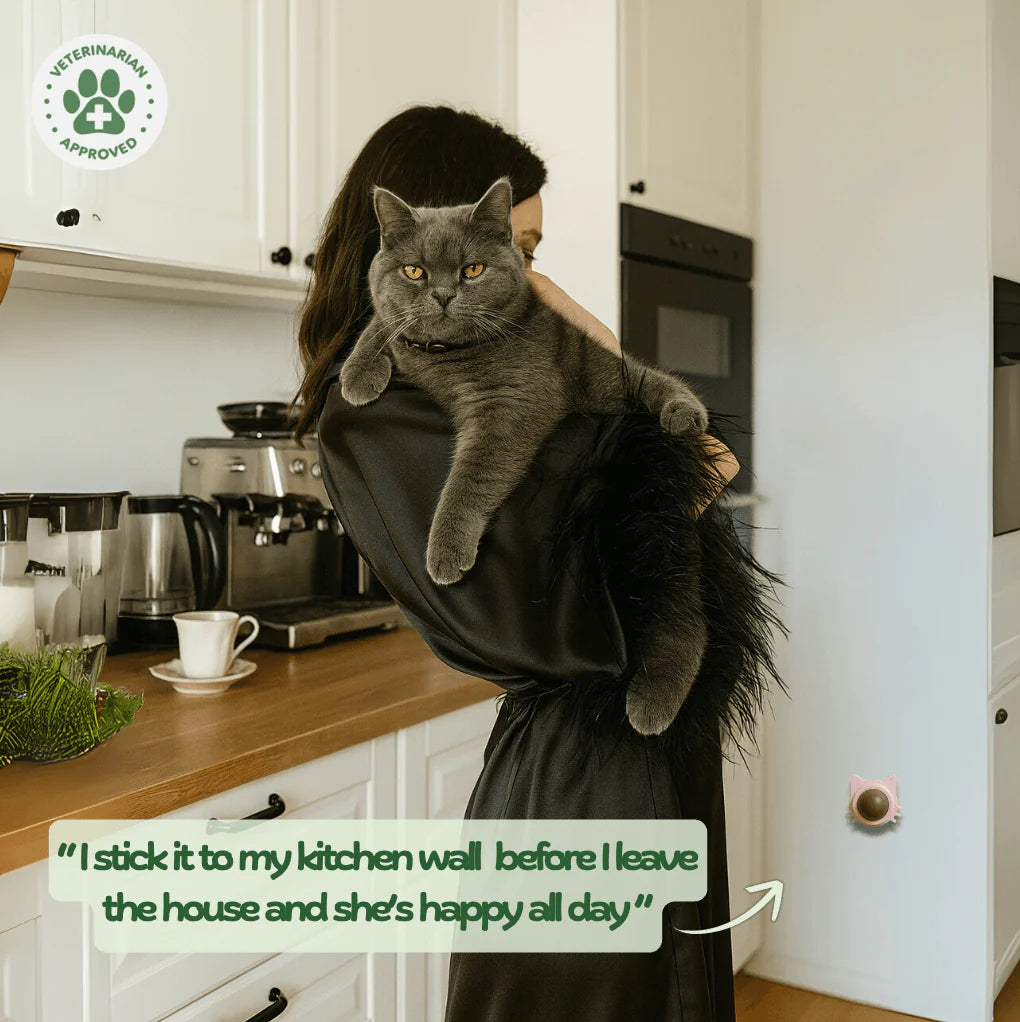 Catnip therapy ball (Buy one Get one)