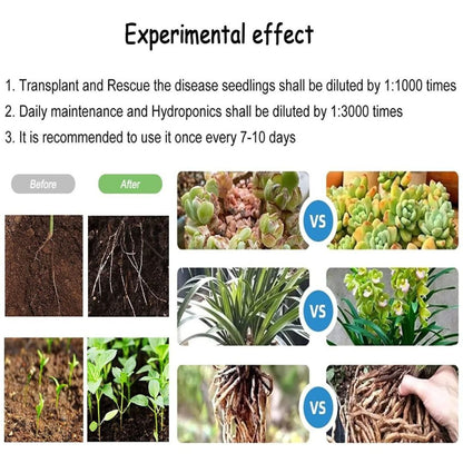 New Plant Growth Enhancer Supplement, Plant Grow Enhancer Supplement, Promotes Rooting, Rescue The Disease Seedlings