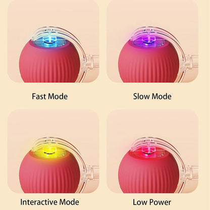 RolliePet smart chase pet toy ball