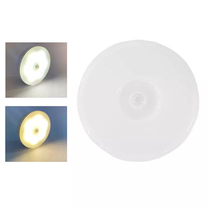 Motion sensor light