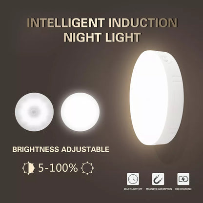 Motion sensor light