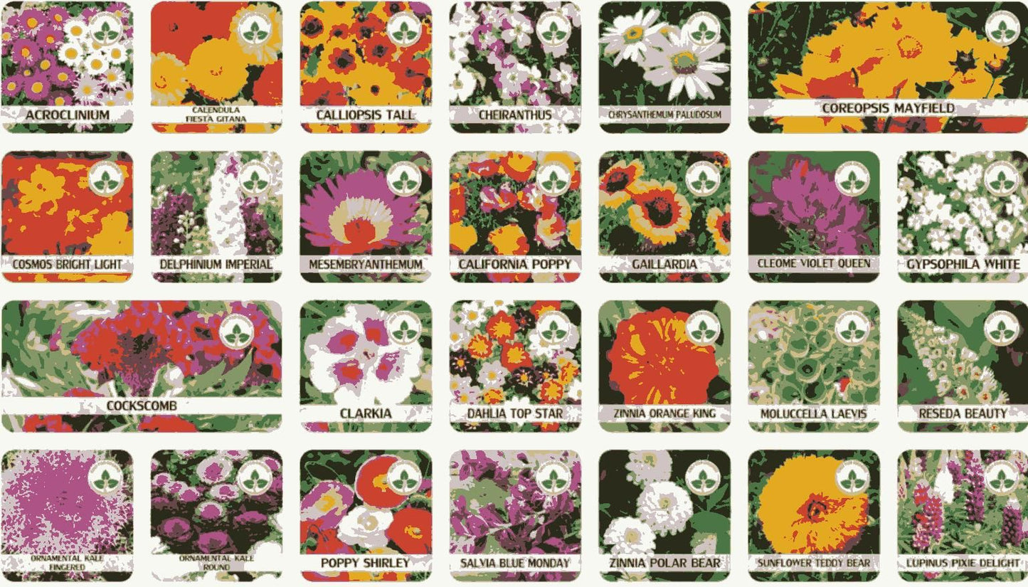 Varieties of Flower Seeds (Pack of 100)