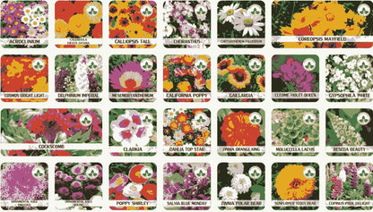 Varieties of Flower Seeds (Pack of 100)