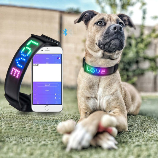 Programmable Scrolling LED Pet Collar For Night Safety